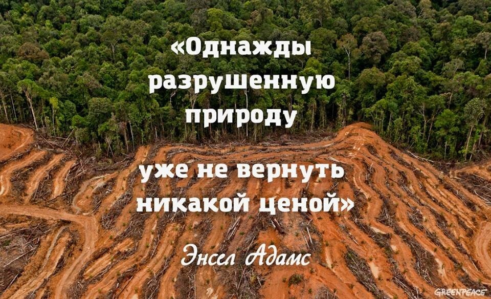 https://borisoglebsk-online.ru/images/src/photobase/pbp_8xP6dc6F9O.jpeg