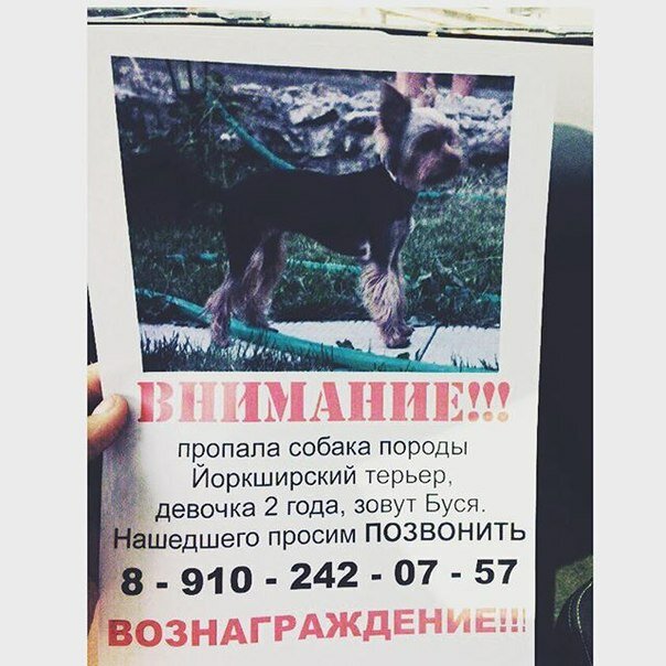 https://borisoglebsk-online.ru/images/src/photobase/pbp_bhZsNes5rE.jpeg