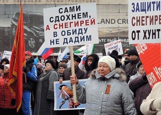 https://borisoglebsk-online.ru/images/src/photobase/pbp_fdjUtkoMcd.jpeg