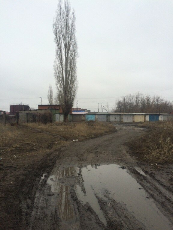 https://borisoglebsk-online.ru/images/src/photobase/pbp_sbL7etUUTk.jpeg