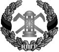 https://borisoglebsk-online.ru/images/src/photobase/pbp_vZV5GlujA5.jpeg