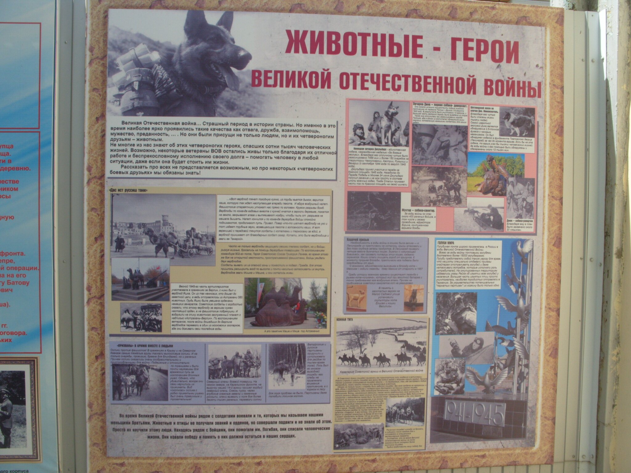 https://borisoglebsk-online.ru/images/src/photobase/pbp_wFsHbvOrsZ.jpeg